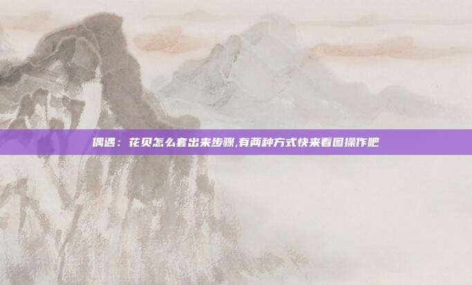 偶遇：花贝怎么套出来步骤,有两种方式快来看图操作吧