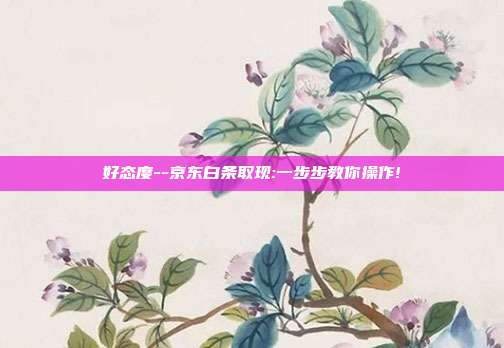 好态度--京东白条取现:一步步教你操作!