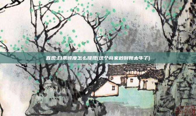 直观:白条额度怎么提现(这个商家秒到账太牛了)