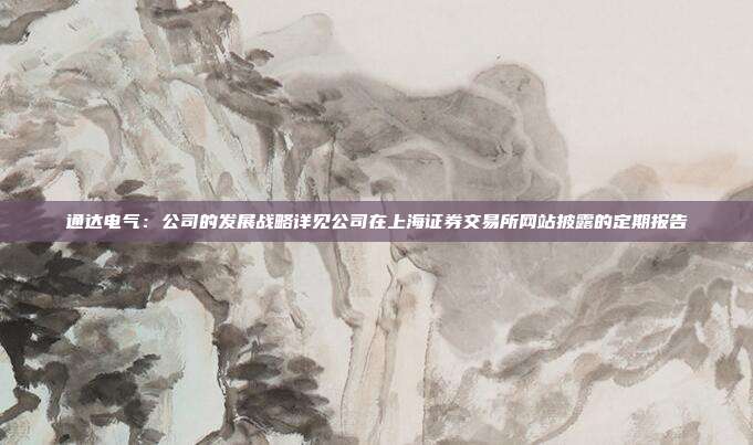 通达电气：公司的发展战略详见公司在上海证券交易所网站披露的定期报告