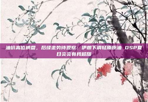 油价高位横盘，后续走势待观察：伊朗下调轻质原油 OSP夏日炎炎有我超甜