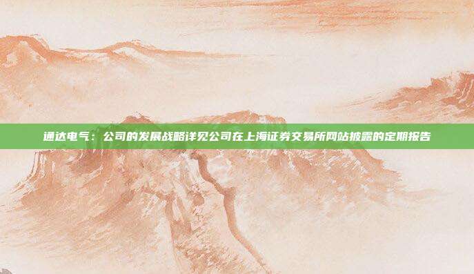 通达电气：公司的发展战略详见公司在上海证券交易所网站披露的定期报告