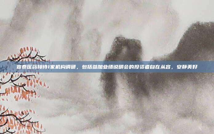 宣泰医药接待1家机构调研，包括参加业绩说明会的投资者自在从容，安静美好