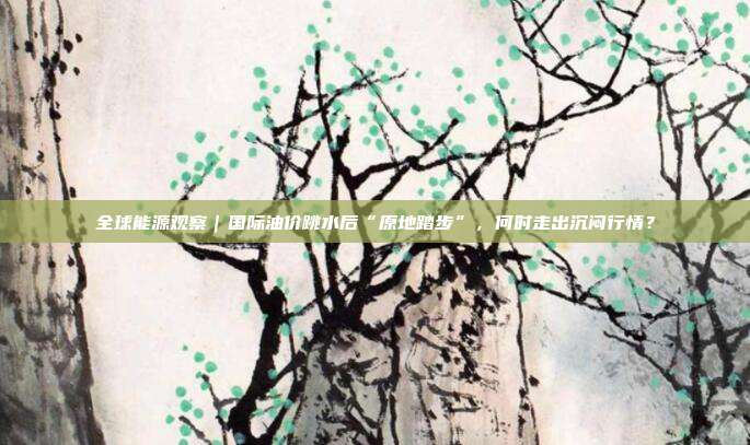 全球能源观察｜国际油价跳水后“原地踏步”，何时走出沉闷行情？
