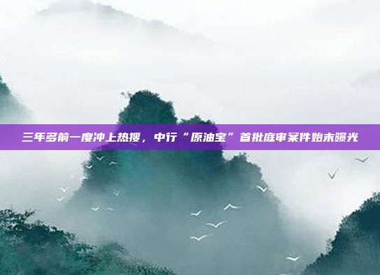 三年多前一度冲上热搜，中行“原油宝”首批庭审案件始末曝光